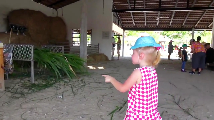 ماجراهای ناستیا و بابایی - قسمت 6